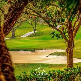 دليل السياحة الشتوية في ماربيلا: الأنشطة والمهرجانات