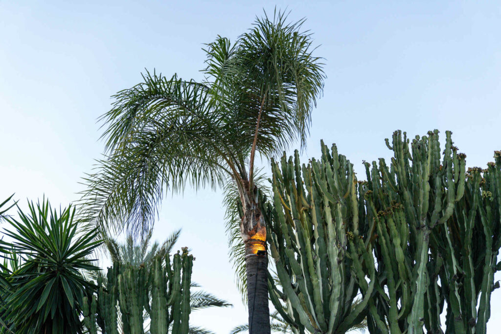 Hala Marbella Offers & Benefits