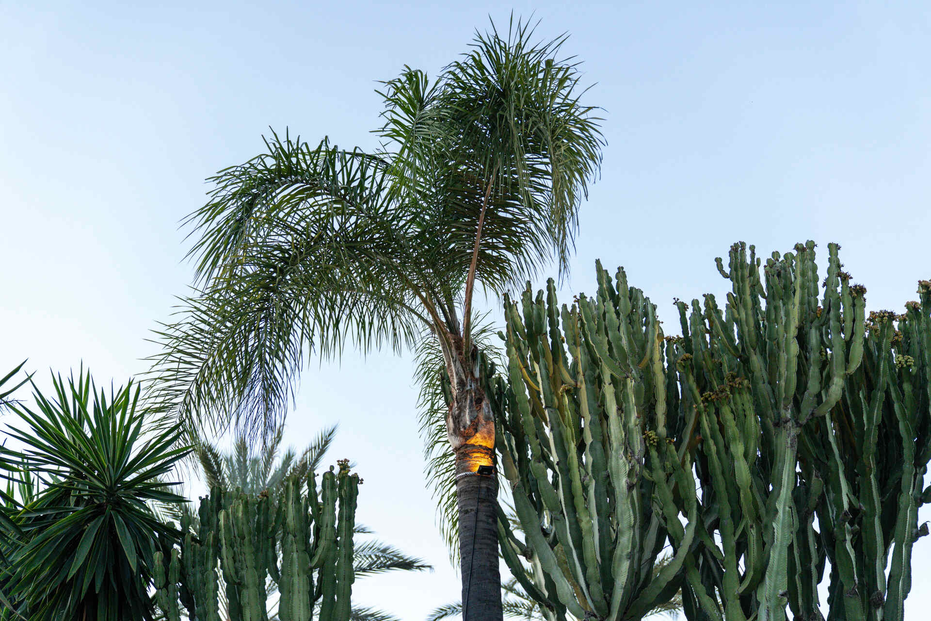 Hala Marbella Offers & Benefits Hala Marbella Offers & Benefits